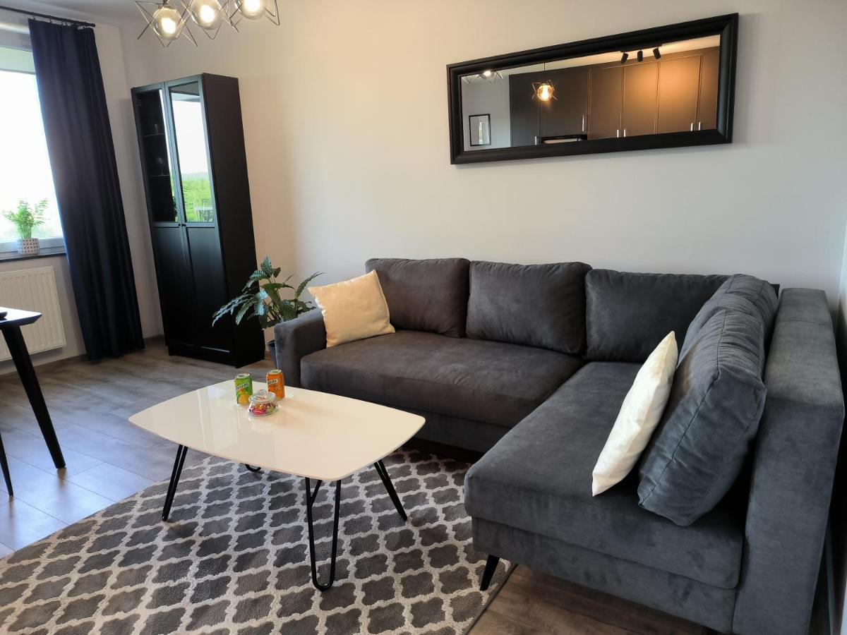Apartament Stanczyka - 42M2 Krasków Exterior foto